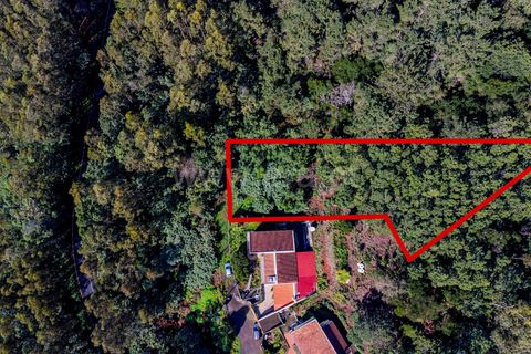 Land for sale in Armamar, Portugal — €68,500