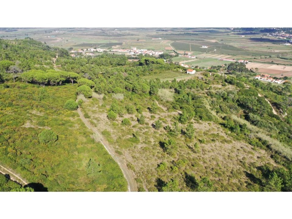 Plot of land for sale in Nazare, Leiria District € 180,000 Ref