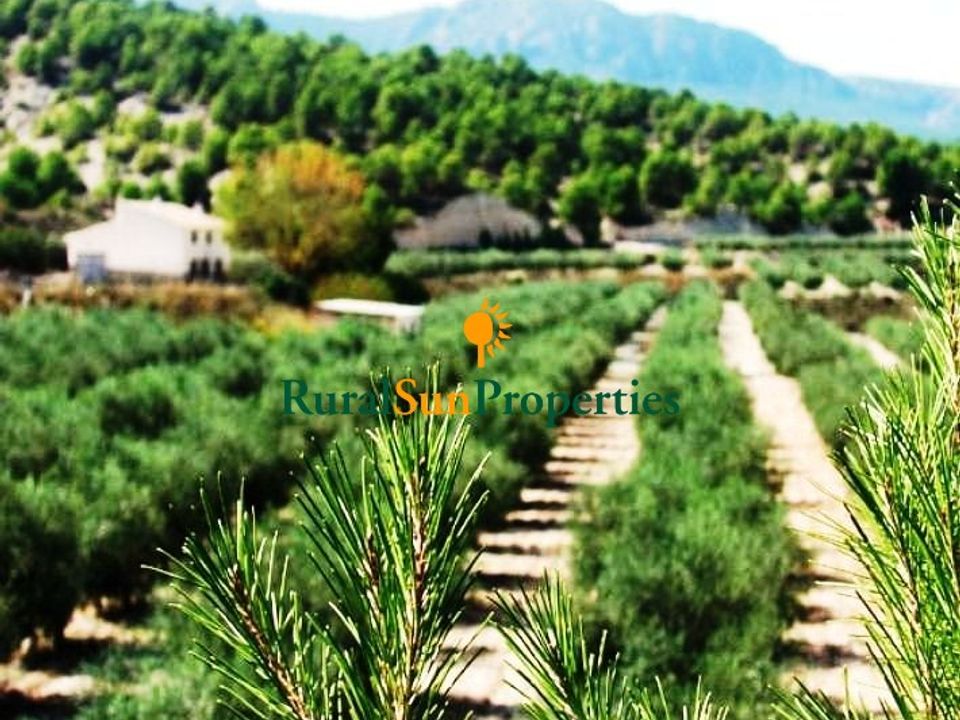 Properties for sale in Bullas, Murcia province Kyero