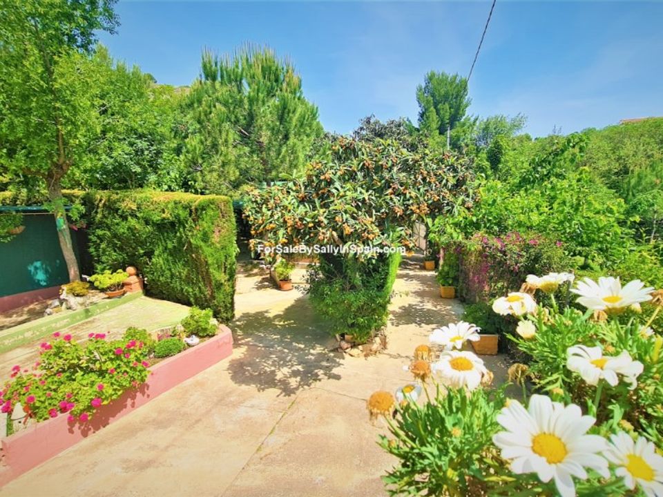 Properties for sale in Gandia, Valencia province