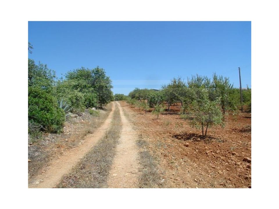 Country houses for sale in Algarve, Portugal