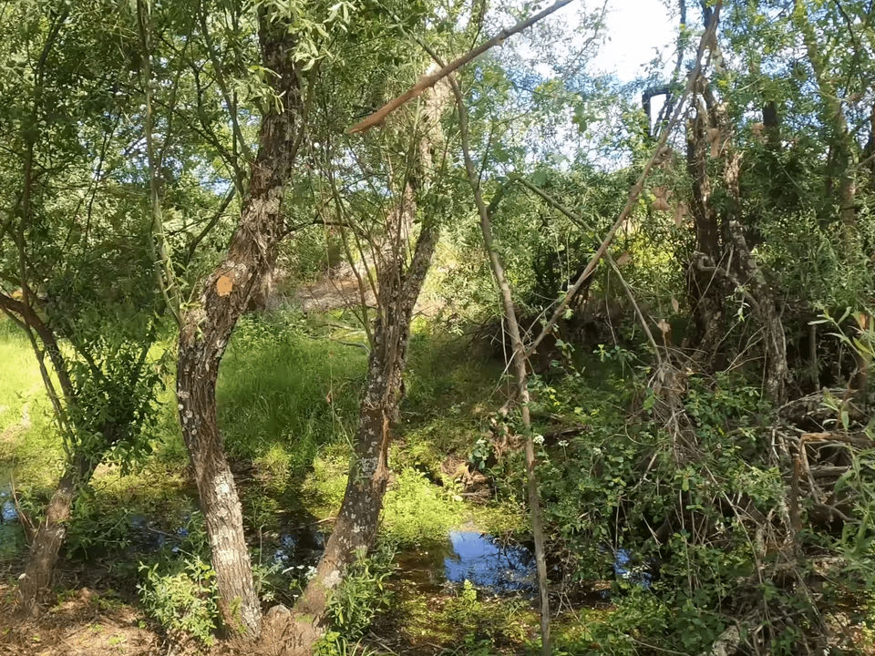 Country house for sale in IdanhaaNova, Castelo Branco District €