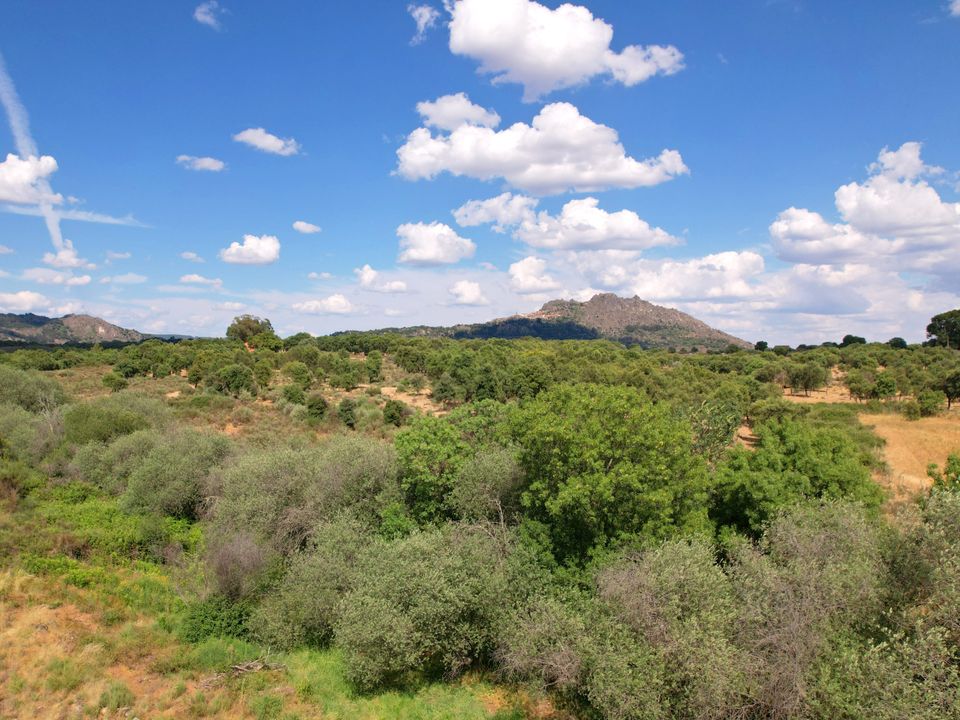 Country house for sale in IdanhaaNova, Castelo Branco District €