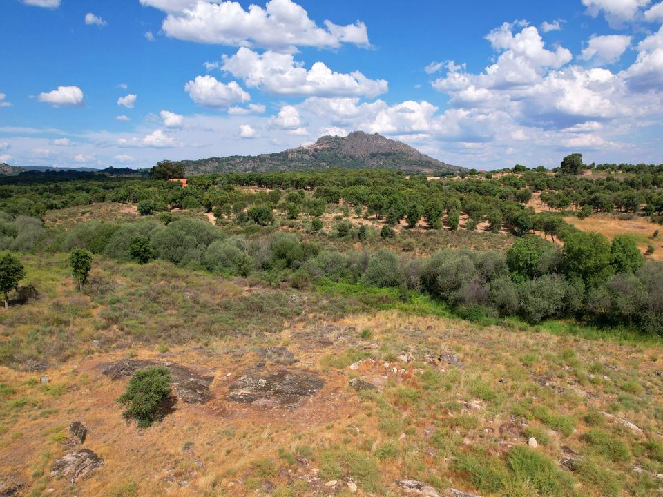 Country house for sale in IdanhaaNova, Castelo Branco District € 235,000 Ref 12729882