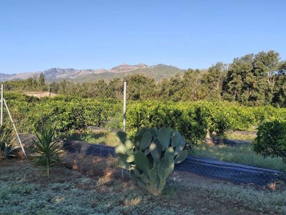 Wooden/mobile home for sale in Tivenys, Tarragona province € 69,000