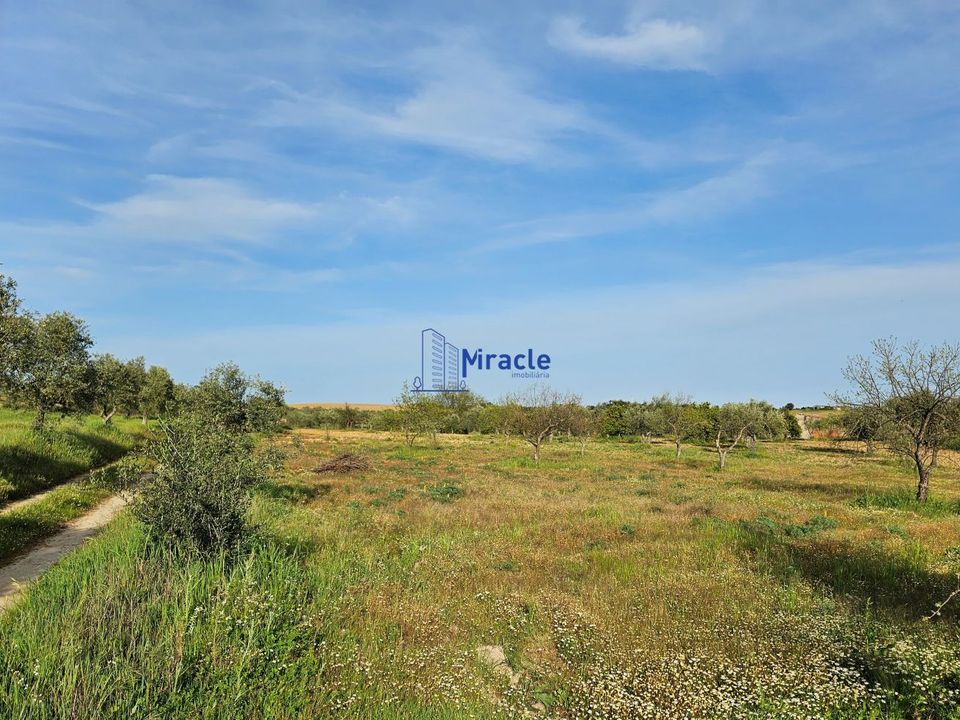 Country house for sale in IdanhaaNova, Castelo Branco District € 26,600 Ref 14618402