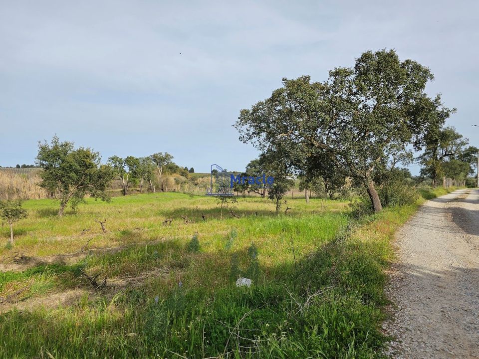 Country house for sale in IdanhaaNova, Castelo Branco District € 8,300 Ref 14618403