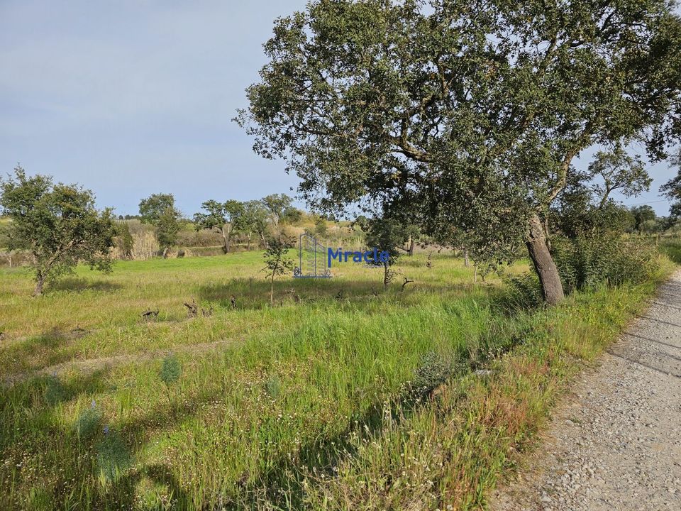 Country house for sale in IdanhaaNova, Castelo Branco District € 8,300 Ref 14618403