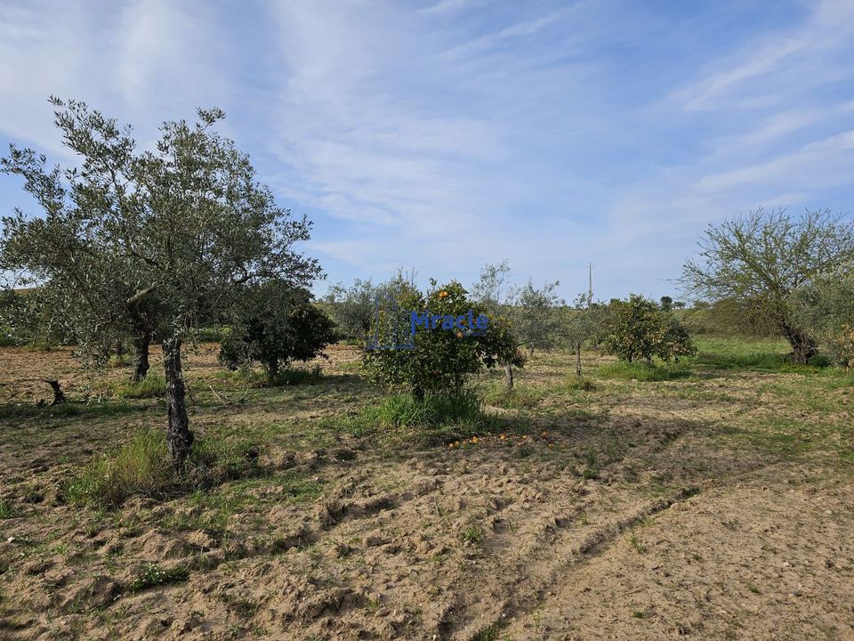 Country house for sale in IdanhaaNova, Castelo Branco District € 8,300 Ref 14618403