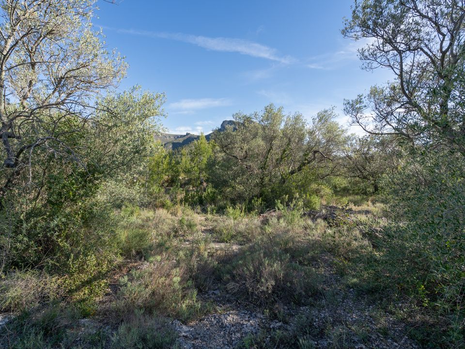 Country house for sale in Mas De Barberans, Tarragona province €