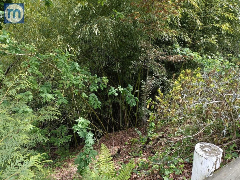 Country house for sale in Amarante, Porto District € 490,000 Ref