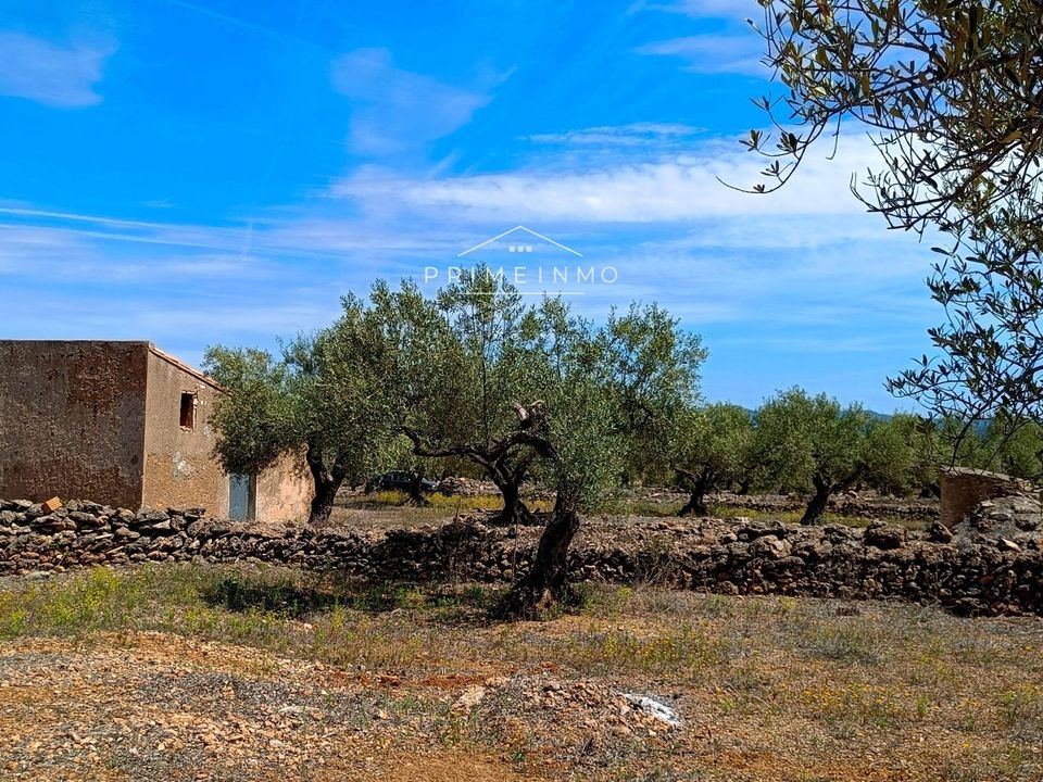 Country house for sale in El Perello, Tarragona province € 35,000 Ref 15432252