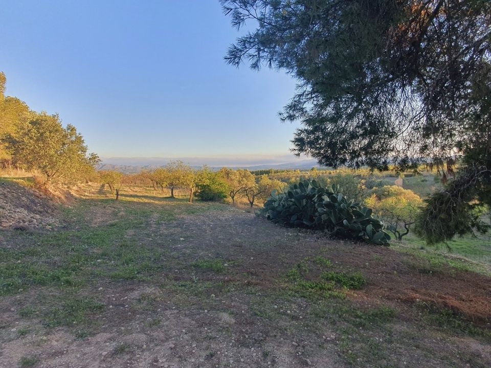 Country house for sale in Mora D'ebre, Tarragona province € 60,000