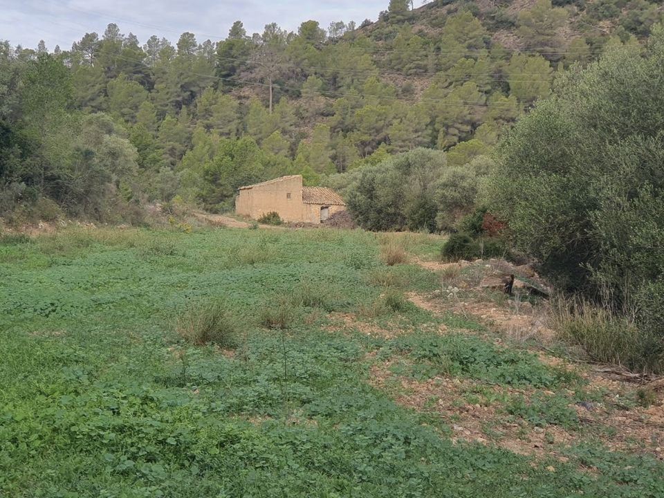 Country house for sale in Benifallet, Tarragona province € 65,000