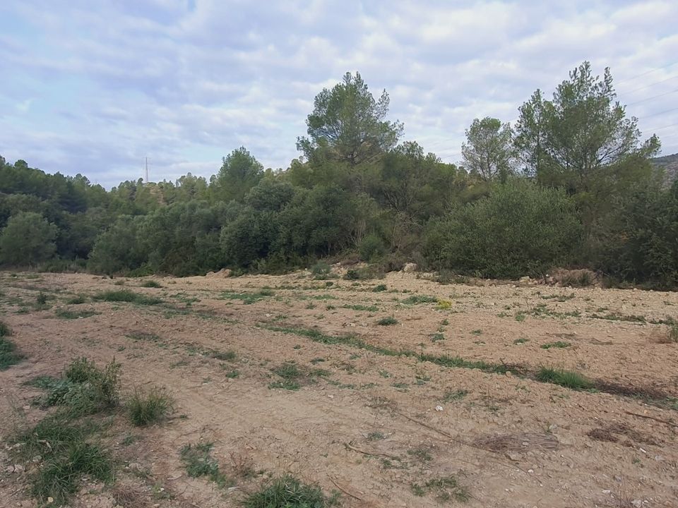 Country house for sale in Benifallet, Tarragona province € 65,000