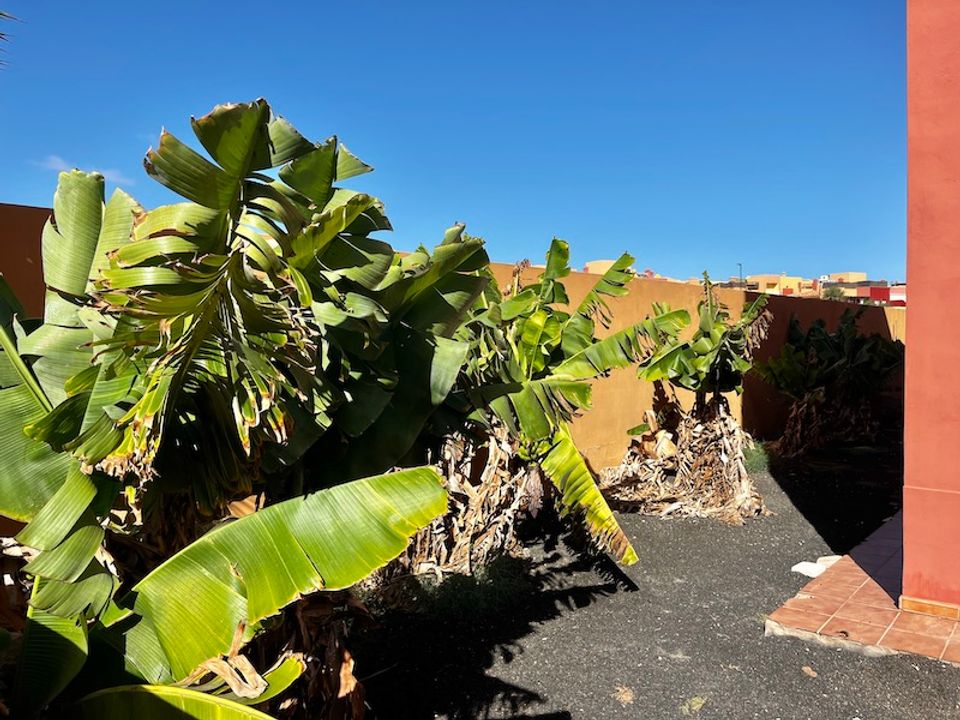 Apartment for sale in Corralejo, Fuerteventura € 245,000 Ref