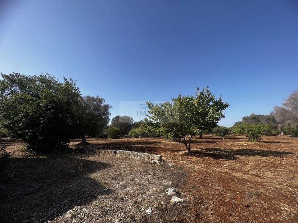 Plot of land for sale in Carovigno, Brindisi € 65,000 Ref 16296208
