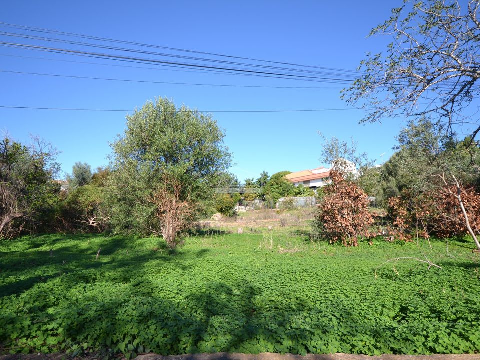 Properties for sale in Faro City