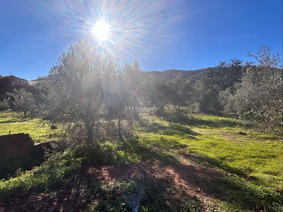 Plot of land for sale in Loule, Faro District € 65,000 Ref