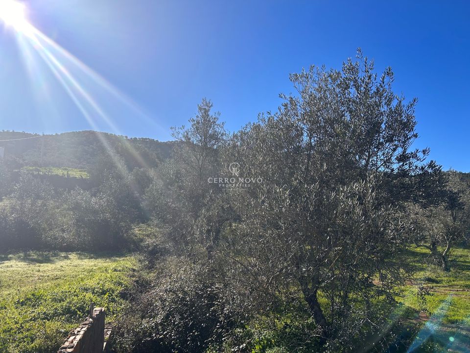 Plot of land for sale in Loule, Faro District € 65,000 Ref