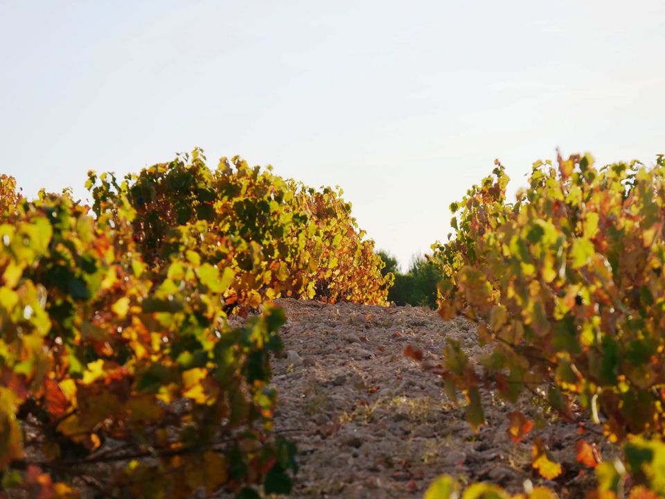 Properties for sale in Bullas, Murcia province Kyero