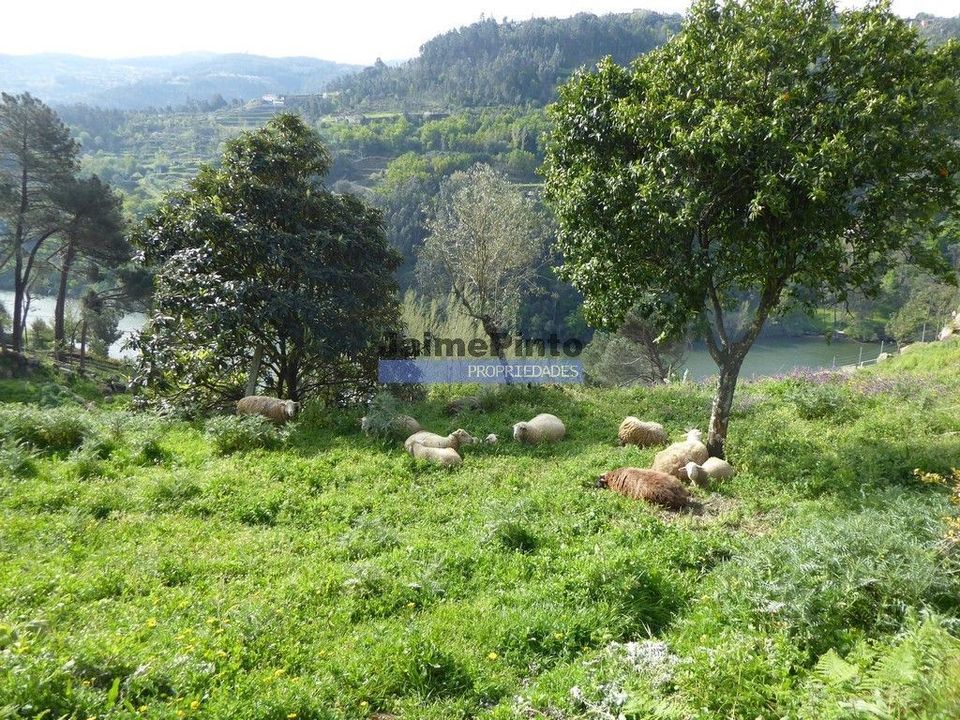 Country house for sale in Marco de Canaveses, Porto District €