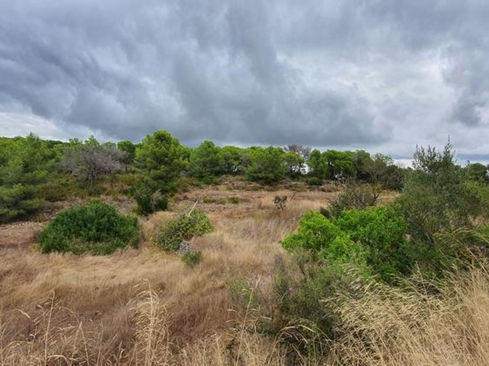 Plot of land for sale in El Pinell De Brai, Tarragona province €