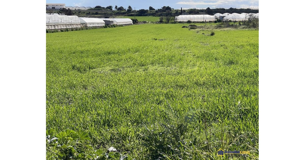 Plot of land for sale in Pachino, Siracusa € 18,000 Ref 13117973