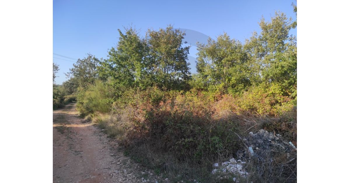 Plot of land for sale in Fatima, Santarem District € 10,000 Ref 16077004